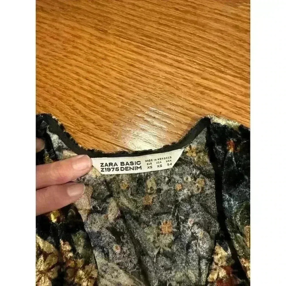 Zara Basic Burnout Velvet Fall Mini Dress Boho 70s Fairygoth Whimsigoth XS - Picture 2 of 7